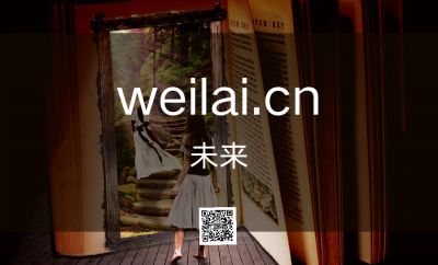 weilai.cn